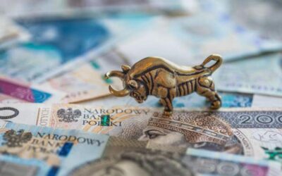 Jak i w co inwestować?